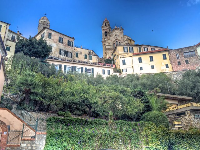 Cervo